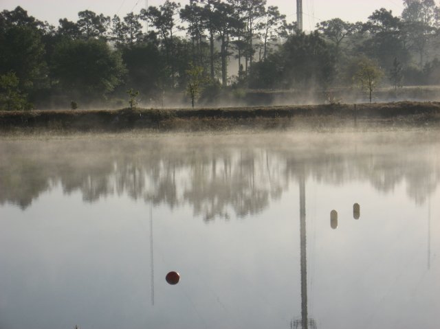 http://www.proskicoach.com/forum/uploads/4593_foggy_morning_002.jpg