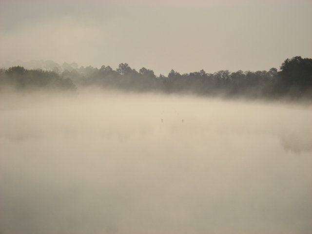 http://www.proskicoach.com/forum/uploads/4593_foggy_morning_003.jpg